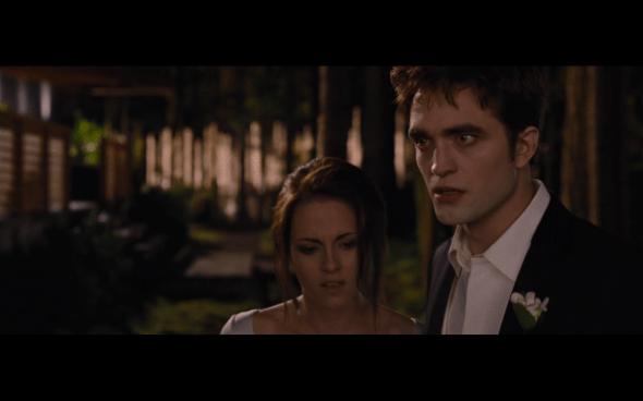 The Twilight Saga Breaking Dawn Part 1 - 327