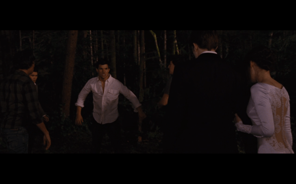 The Twilight Saga Breaking Dawn Part 1 - 331