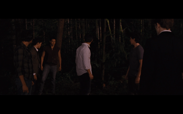 The Twilight Saga Breaking Dawn Part 1 - 332