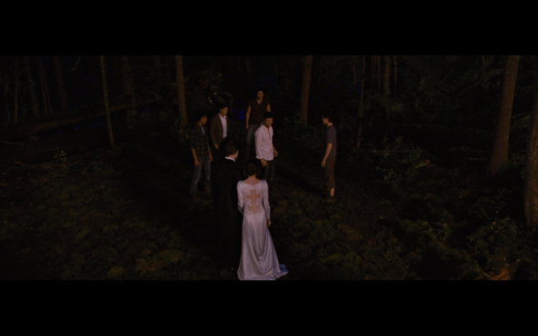The Twilight Saga Breaking Dawn Part 1 - 335