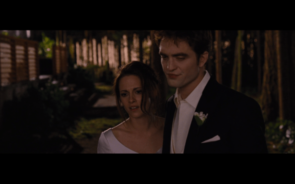 The Twilight Saga Breaking Dawn Part 1 - 336