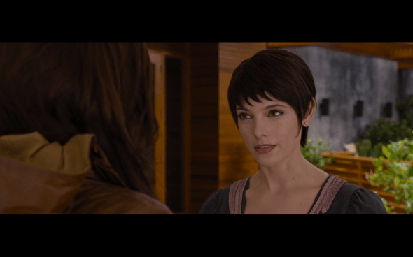 The Twilight Saga Breaking Dawn Part 1 - 35