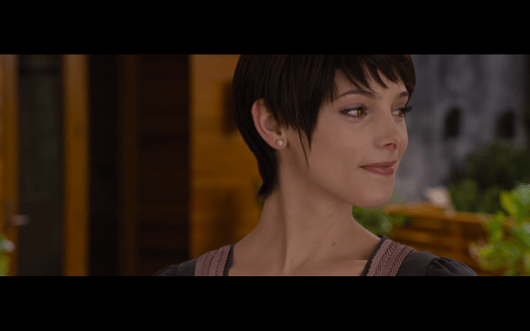 The Twilight Saga Breaking Dawn Part 1 - 39