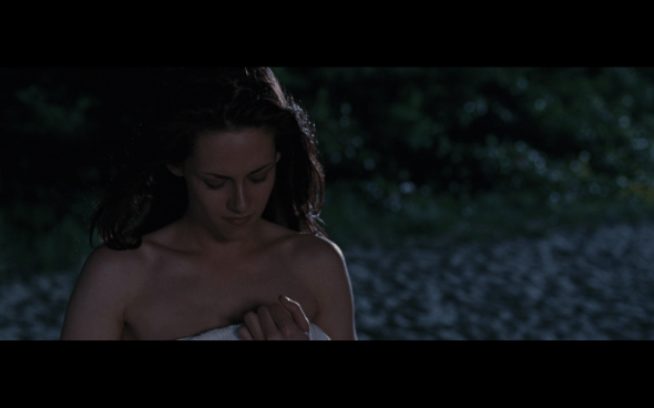 The Twilight Saga Breaking Dawn Part 1 - 441