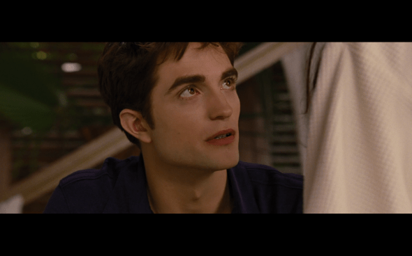 The Twilight Saga Breaking Dawn Part 1 - 500