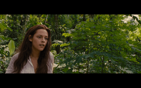 The Twilight Saga Breaking Dawn Part 1 - 540