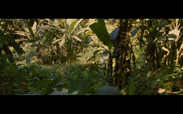 The Twilight Saga Breaking Dawn Part 1 - 541