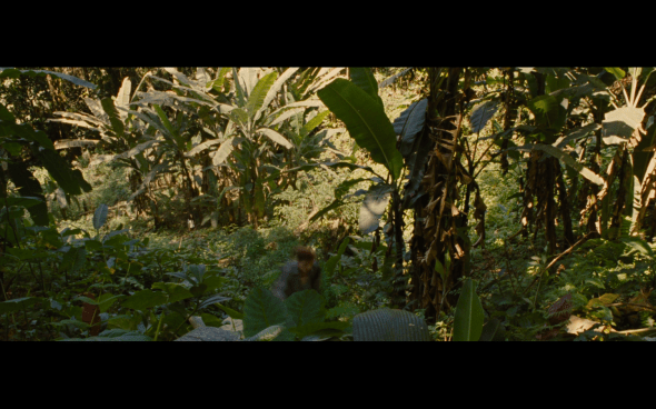 The Twilight Saga Breaking Dawn Part 1 - 542