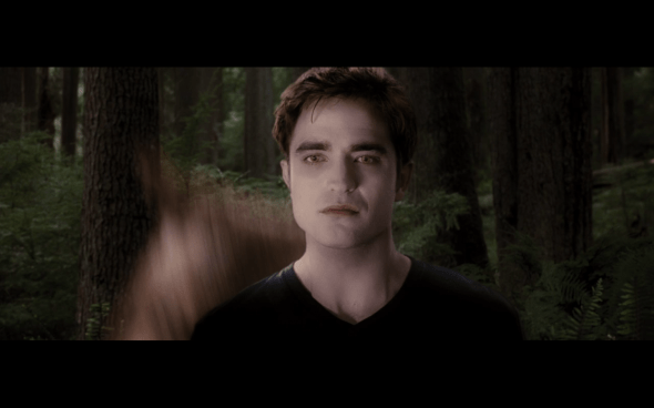 The Twilight Saga Breaking Dawn Part 1 - 577