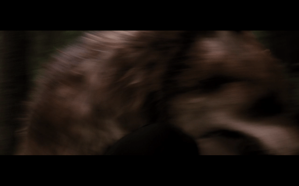 The Twilight Saga Breaking Dawn Part 1 - 579