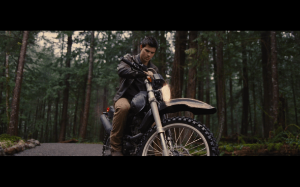 The Twilight Saga Breaking Dawn Part 1 - 691