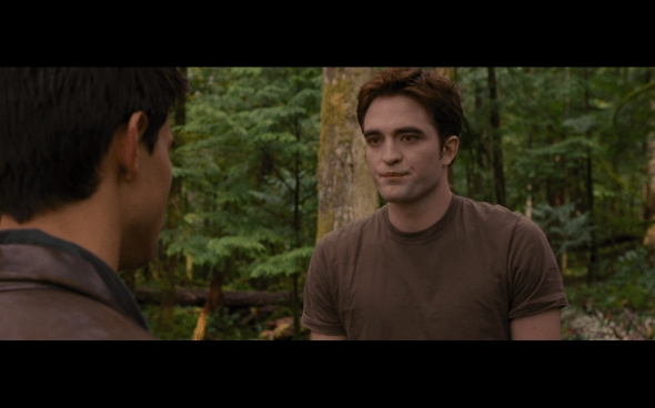 The Twilight Saga Breaking Dawn Part 1 - 713