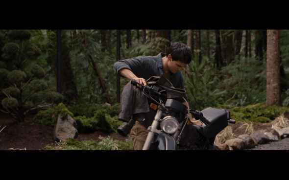 The Twilight Saga Breaking Dawn Part 1 - 738