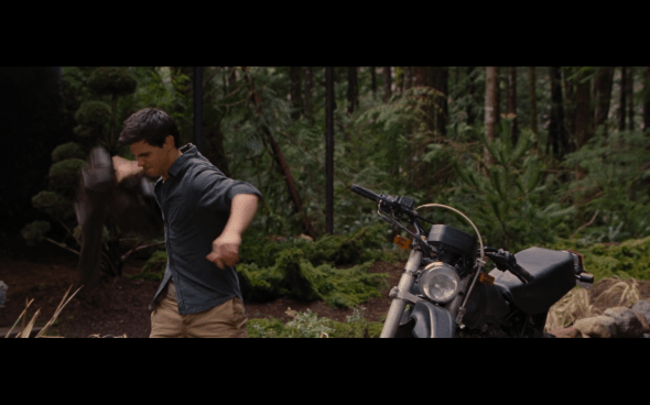 The Twilight Saga Breaking Dawn Part 1 - 739