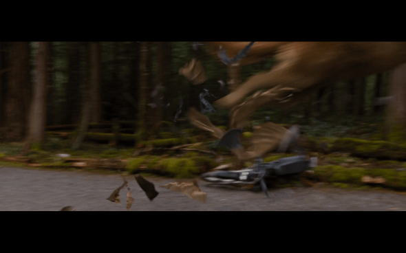 The Twilight Saga Breaking Dawn Part 1 - 743