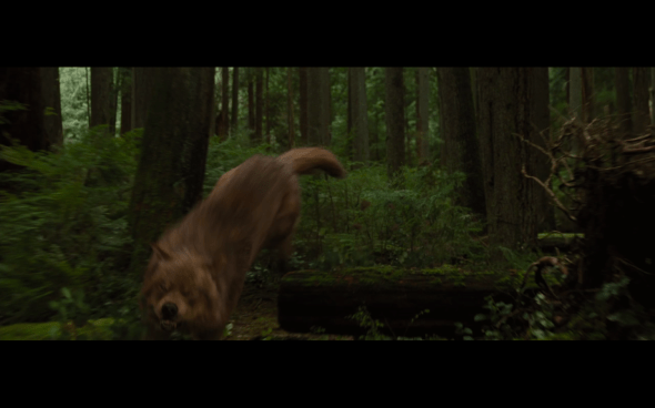 The Twilight Saga Breaking Dawn Part 1 - 745