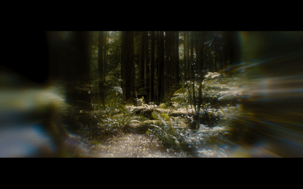 The Twilight Saga Breaking Dawn Part 1 - 747