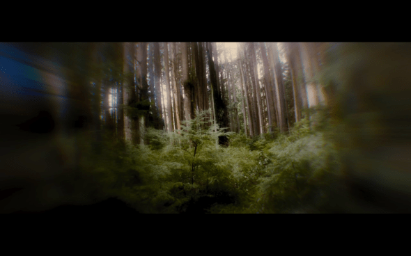 The Twilight Saga Breaking Dawn Part 1 - 748