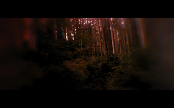 The Twilight Saga Breaking Dawn Part 1 - 749