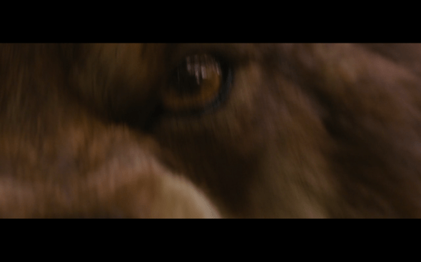 The Twilight Saga Breaking Dawn Part 1 - 751