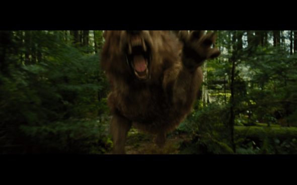 The Twilight Saga Breaking Dawn Part 1 - 755