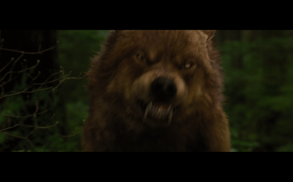 The Twilight Saga Breaking Dawn Part 1 - 760