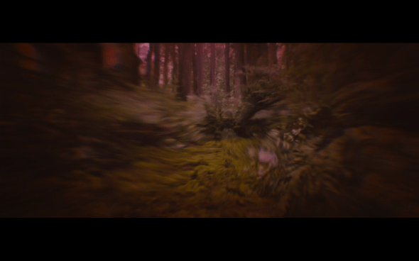 The Twilight Saga Breaking Dawn Part 1 - 762