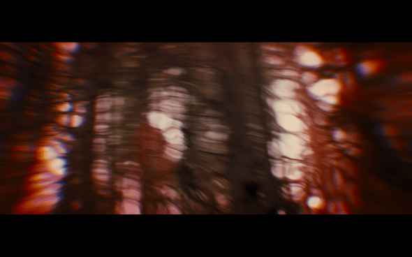 The Twilight Saga Breaking Dawn Part 1 - 770