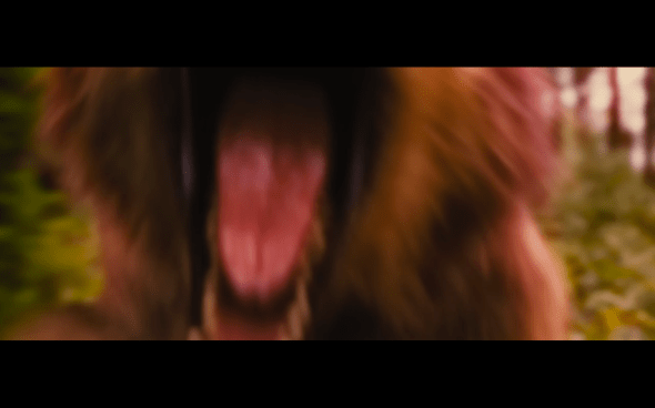 The Twilight Saga Breaking Dawn Part 1 - 771