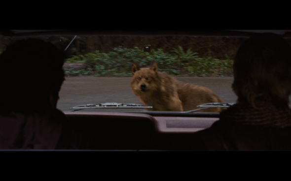 The Twilight Saga Breaking Dawn Part 1 - 773