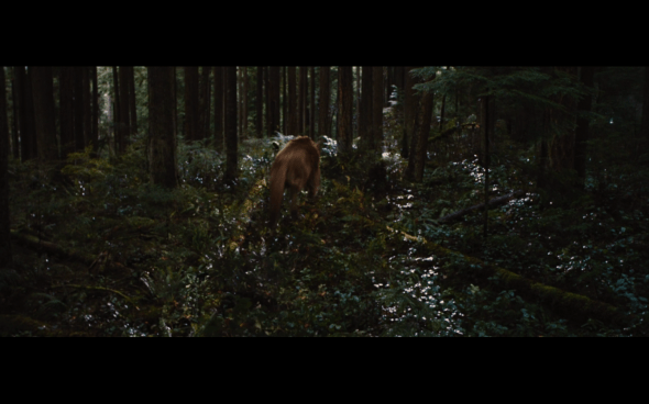 The Twilight Saga Breaking Dawn Part 1 - 777