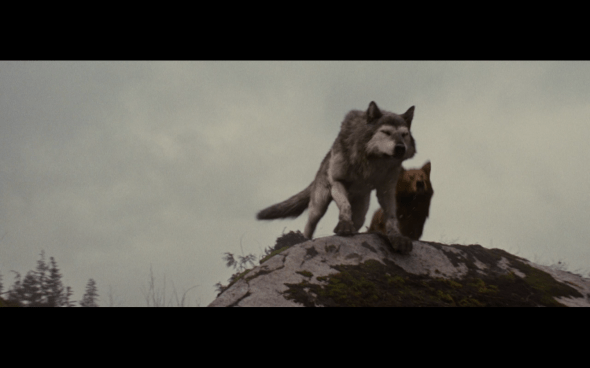 The Twilight Saga Breaking Dawn Part 1 - 779