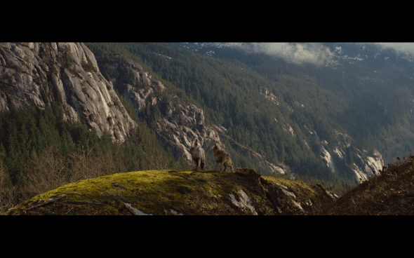 The Twilight Saga Breaking Dawn Part 1 - 782