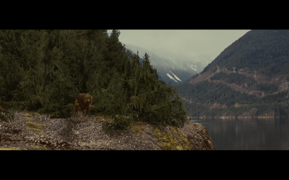 The Twilight Saga Breaking Dawn Part 1 - 784