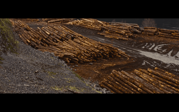 The Twilight Saga Breaking Dawn Part 1 - 785