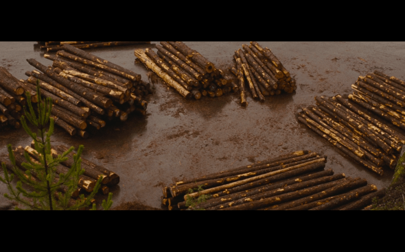 The Twilight Saga Breaking Dawn Part 1 - 787