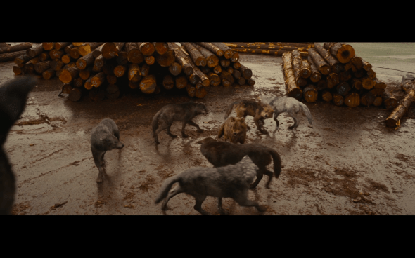 The Twilight Saga Breaking Dawn Part 1 - 790