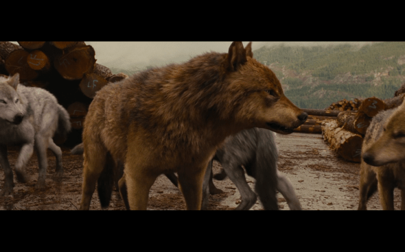 The Twilight Saga Breaking Dawn Part 1 - 791
