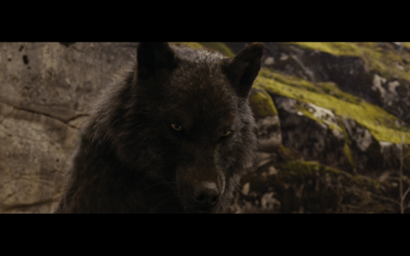 The Twilight Saga Breaking Dawn Part 1 - 792