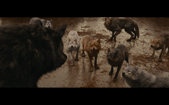 The Twilight Saga Breaking Dawn Part 1 - 793