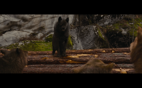 The Twilight Saga Breaking Dawn Part 1 - 795