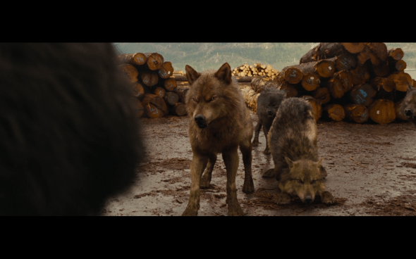 The Twilight Saga Breaking Dawn Part 1 - 796