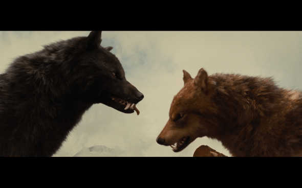 The Twilight Saga Breaking Dawn Part 1 - 797