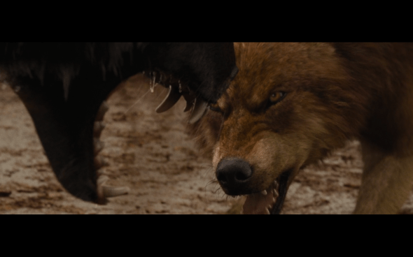 The Twilight Saga Breaking Dawn Part 1 - 798