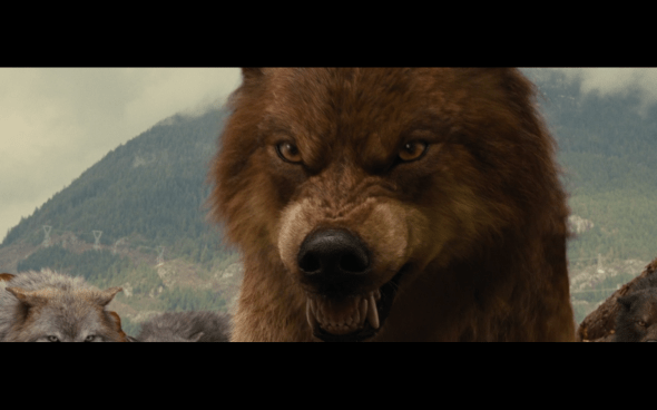 The Twilight Saga Breaking Dawn Part 1 - 800