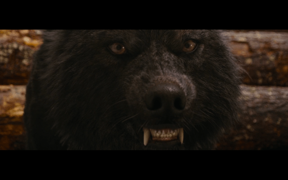 The Twilight Saga Breaking Dawn Part 1 - 801