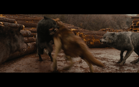 The Twilight Saga Breaking Dawn Part 1 - 804