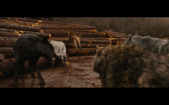 The Twilight Saga Breaking Dawn Part 1 - 805