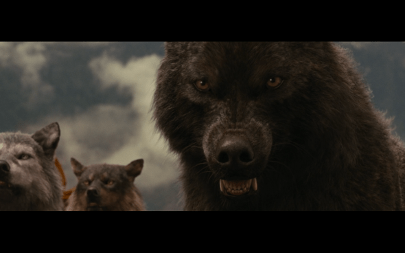 The Twilight Saga Breaking Dawn Part 1 - 808