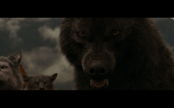 The Twilight Saga Breaking Dawn Part 1 - 809